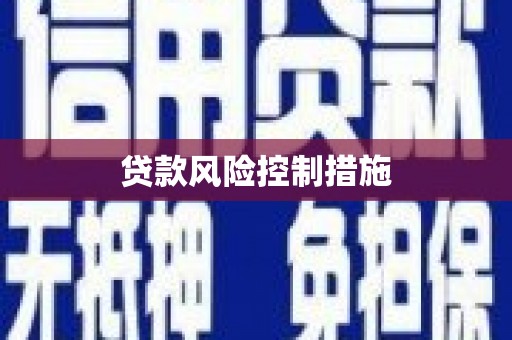 南投贷款风险控制措施