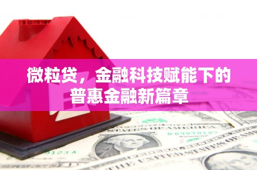 南投微粒贷，金融科技赋能下的普惠金融新篇章