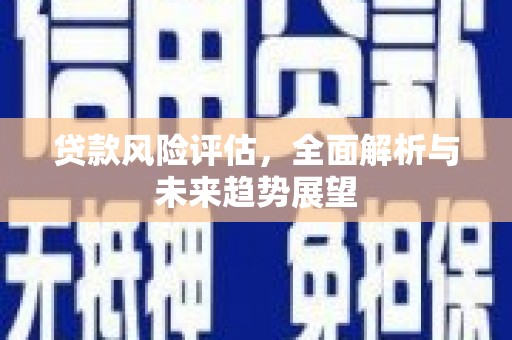南投贷款风险评估，全面解析与未来趋势展望