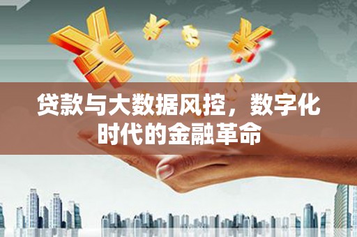 南投贷款与大数据风控，数字化时代的金融革命