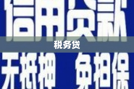 南投税务贷