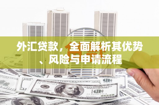 南投外汇贷款，全面解析其优势、风险与申请流程