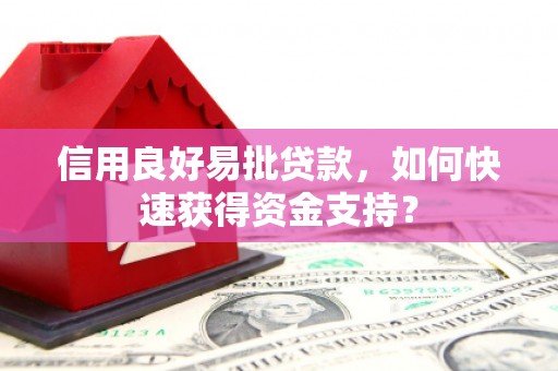 南投信用良好易批贷款，如何快速获得资金支持？