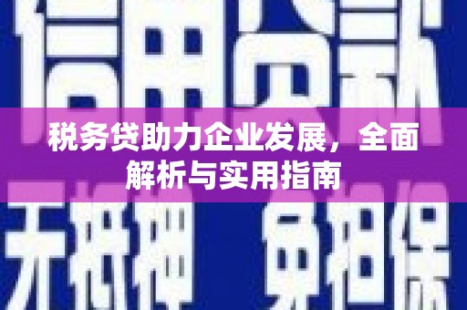 南投税务贷助力企业发展，全面解析与实用指南