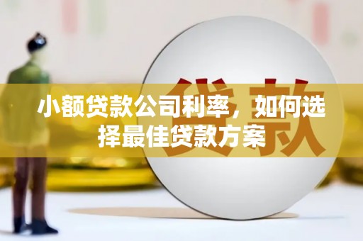 南投小额贷款公司利率，如何选择最佳贷款方案