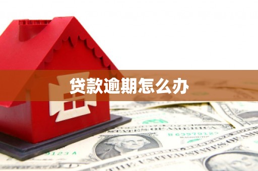 南投贷款逾期怎么办