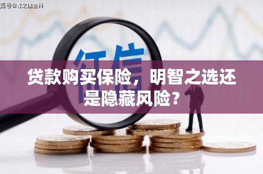 南投贷款购买保险，明智之选还是隐藏风险？