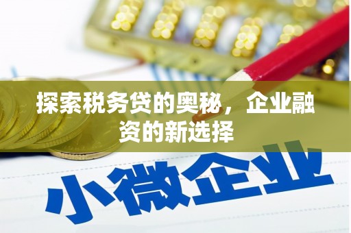 南投探索税务贷的奥秘，企业融资的新选择