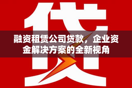 南投融资租赁公司贷款，企业资金解决方案的全新视角