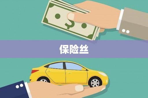 南投保险丝