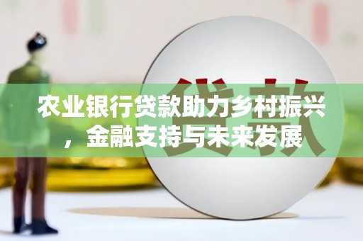 南投农业银行贷款助力乡村振兴，金融支持与未来发展