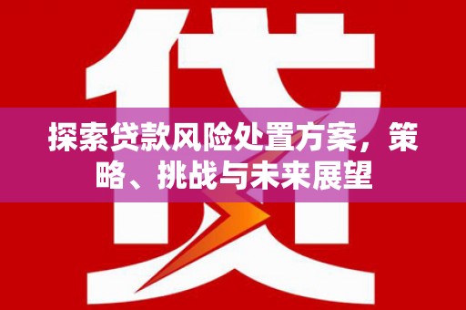 南投探索贷款风险处置方案，策略、挑战与未来展望