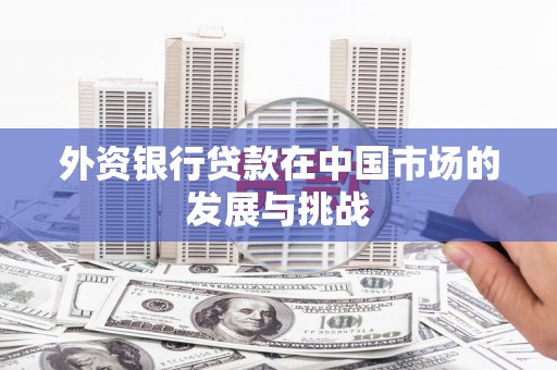 南投外资银行贷款在中国市场的发展与挑战