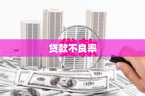 南投贷款不良率