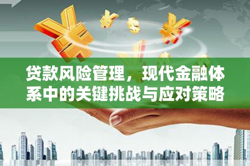 南投贷款风险管理，现代金融体系中的关键挑战与应对策略