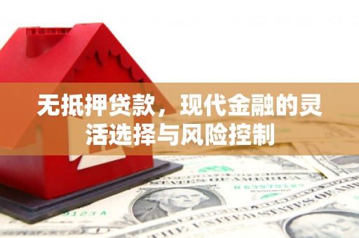 南投无抵押贷款，现代金融的灵活选择与风险控制