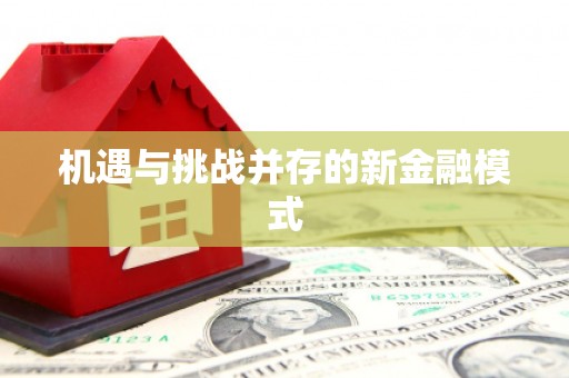 南投机遇与挑战并存的新金融模式