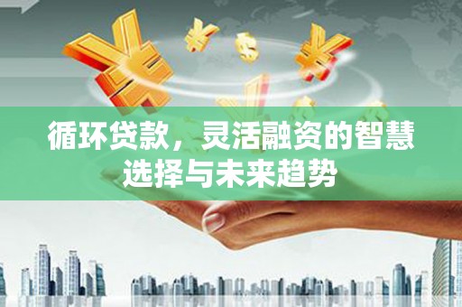 南投循环贷款，灵活融资的智慧选择与未来趋势