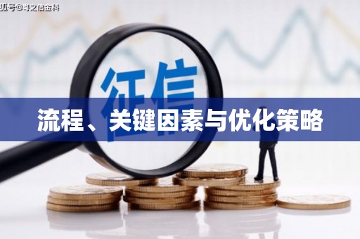南投流程、关键因素与优化策略