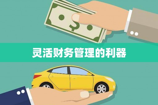 南投灵活财务管理的利器