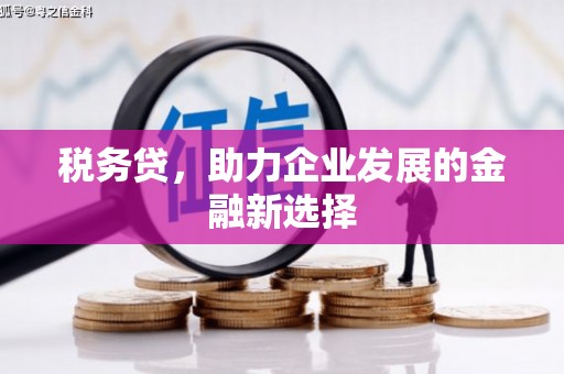 南投税务贷，助力企业发展的金融新选择