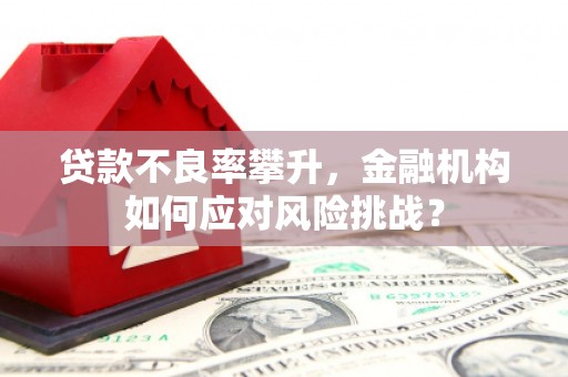 南投贷款不良率攀升，金融机构如何应对风险挑战？