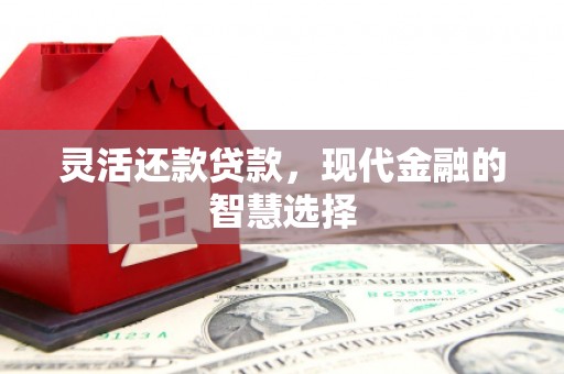南投灵活还款贷款，现代金融的智慧选择