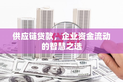南投供应链贷款，企业资金流动的智慧之选