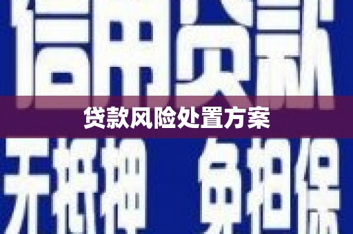南投贷款风险处置方案