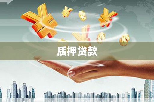 南投质押贷款