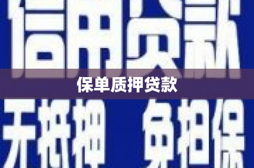 南投保单质押贷款