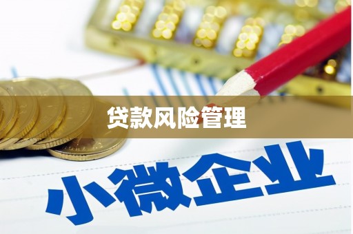 南投贷款风险管理