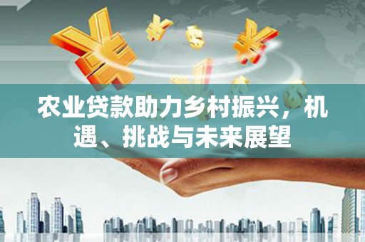 南投农业贷款助力乡村振兴，机遇、挑战与未来展望