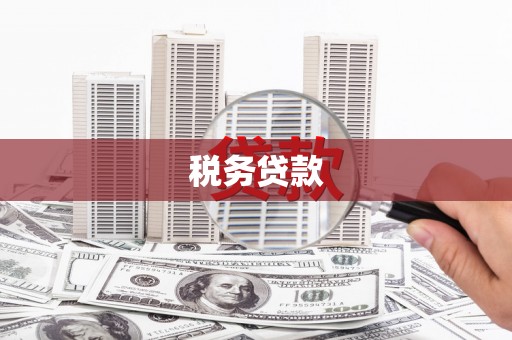 南投税务贷款