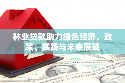 南投林业贷款助力绿色经济，政策、实践与未来展望