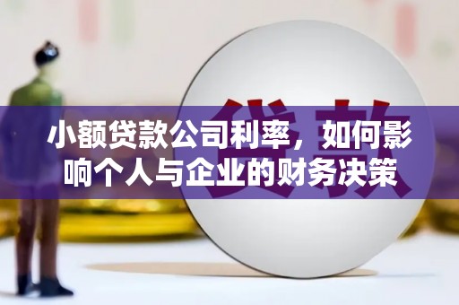 南投小额贷款公司利率，如何影响个人与企业的财务决策