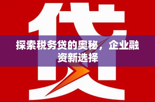 南投探索税务贷的奥秘，企业融资新选择