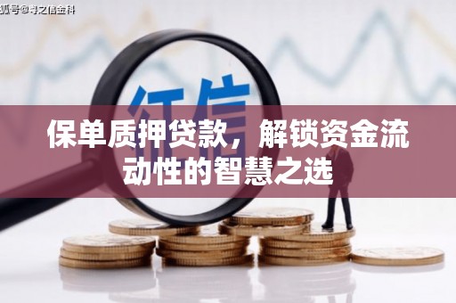 南投保单质押贷款，解锁资金流动性的智慧之选