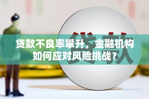 南投贷款不良率攀升，金融机构如何应对风险挑战？