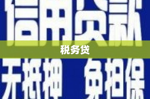 南投税务贷