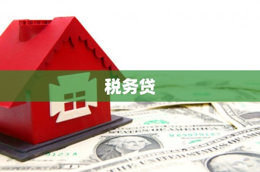 南投税务贷
