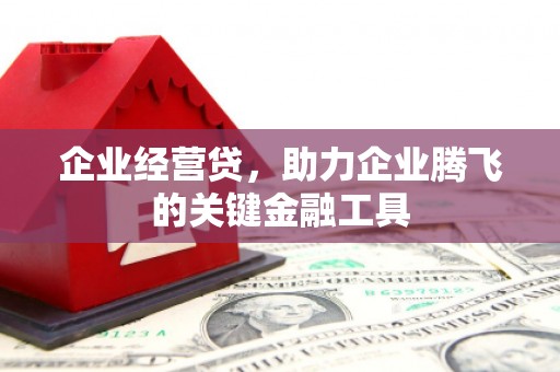 南投企业经营贷，助力企业腾飞的关键金融工具