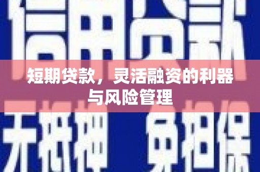 南投短期贷款，灵活融资的利器与风险管理