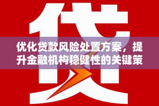 南投优化贷款风险处置方案，提升金融机构稳健性的关键策略