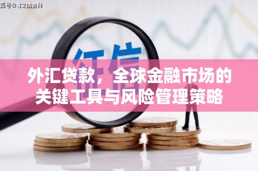 南投外汇贷款，全球金融市场的关键工具与风险管理策略