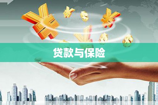 南投贷款与保险