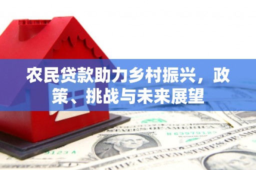 南投农民贷款助力乡村振兴，政策、挑战与未来展望