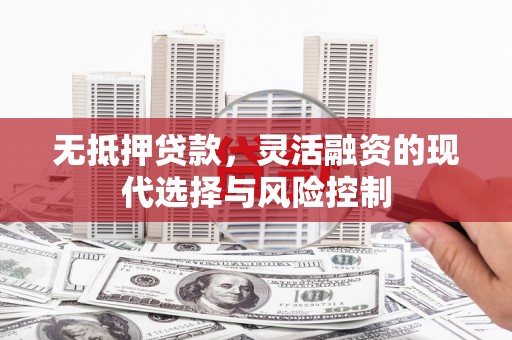 南投无抵押贷款，灵活融资的现代选择与风险控制