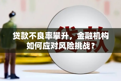 南投贷款不良率攀升，金融机构如何应对风险挑战？