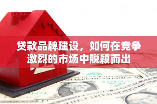 南投贷款品牌建设，如何在竞争激烈的市场中脱颖而出
